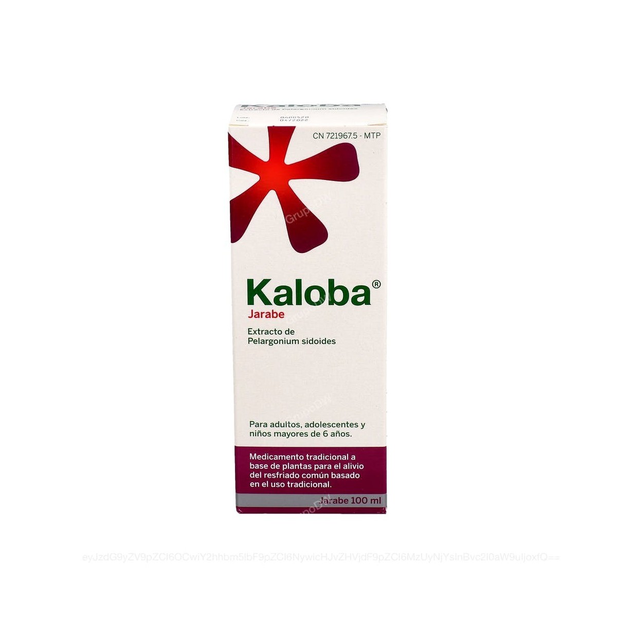 KALOBA JARABE