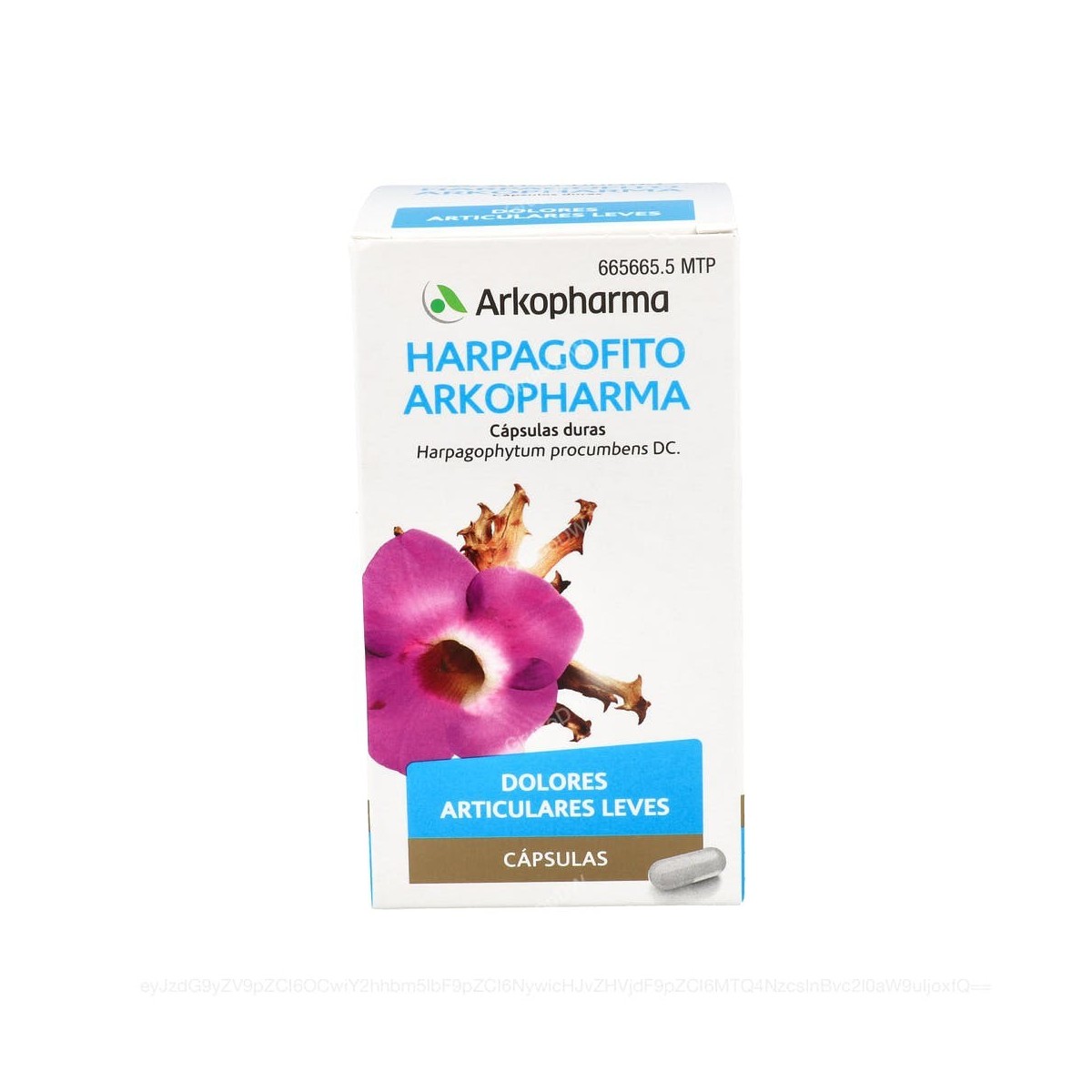 HARPAGOFITO ARKOPHARMA CAPSULAS DURAS, 168...